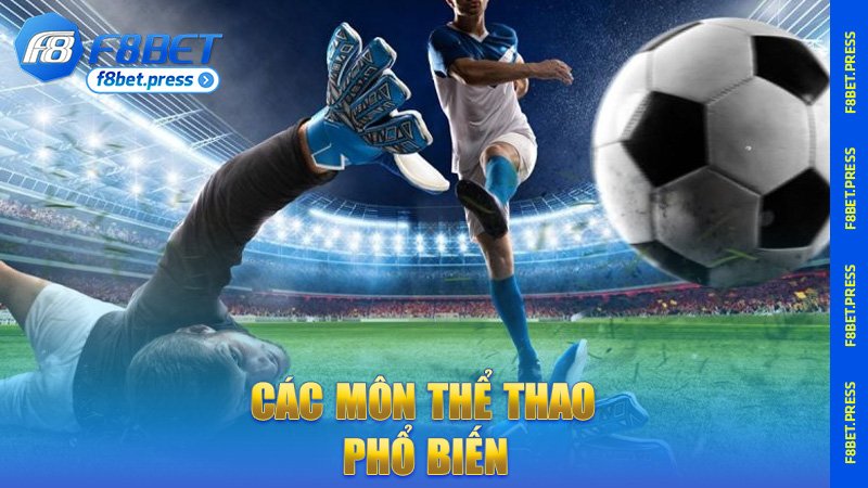 Các môn thể thao phổ biến