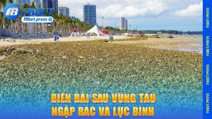 Biển Bãi Sau Vũng Tàu ngập rác và lục bình, ảnh hưởng nghiêm trọng đến cảnh quan và du lịch