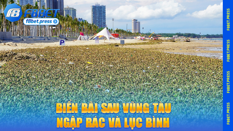 Biển Bãi Sau Vũng Tàu ngập rác và lục bình, ảnh hưởng nghiêm trọng đến cảnh quan và du lịch